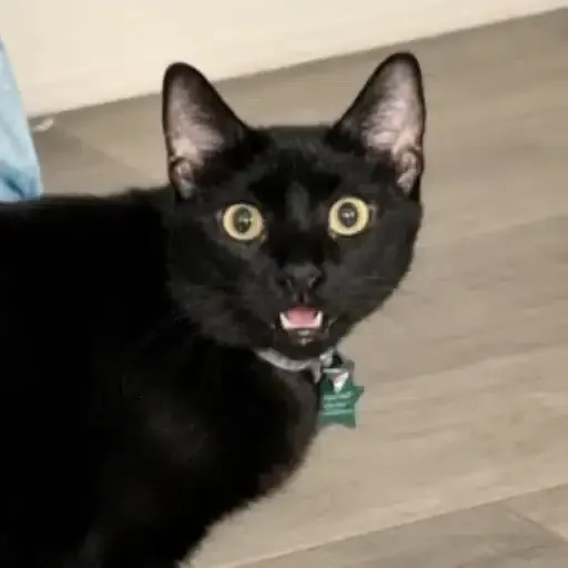 WOW