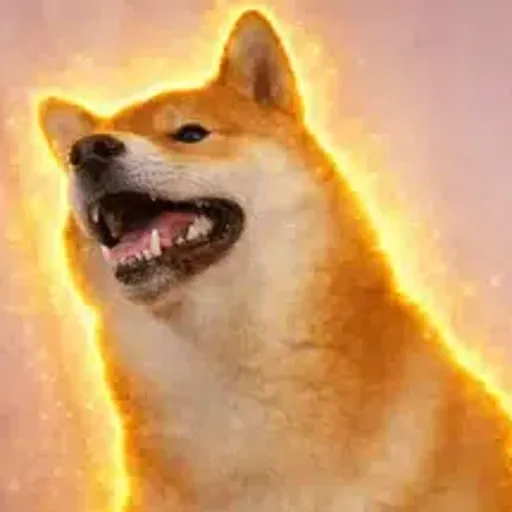 Tofu