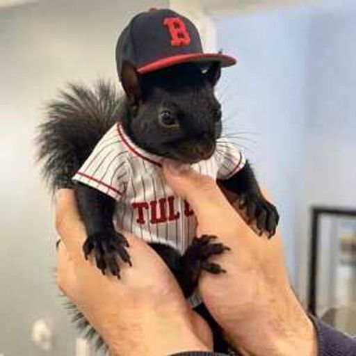 BNUT