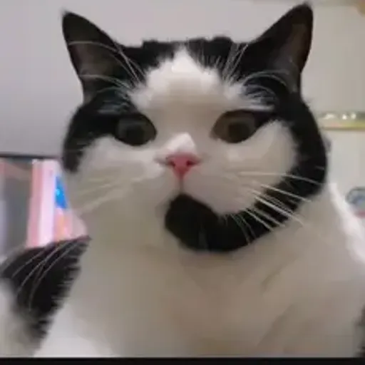 CATELL