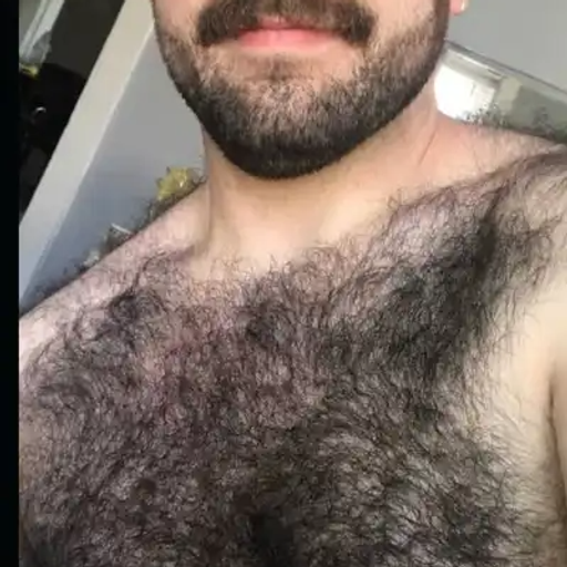 chest hair
