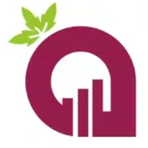 Radish