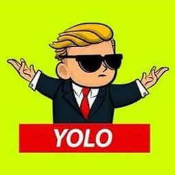 YOLO