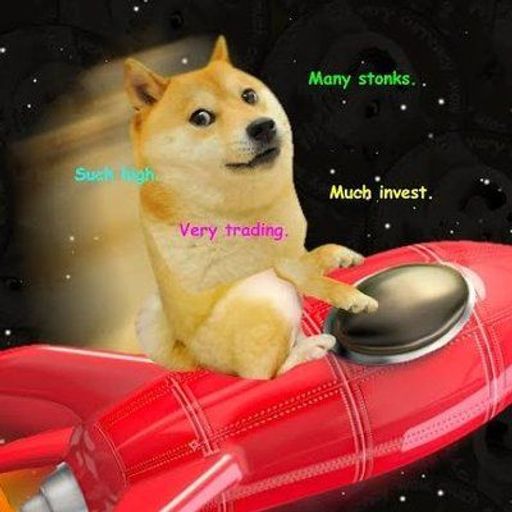 DOGE1