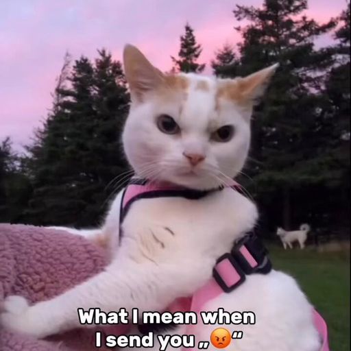 ME