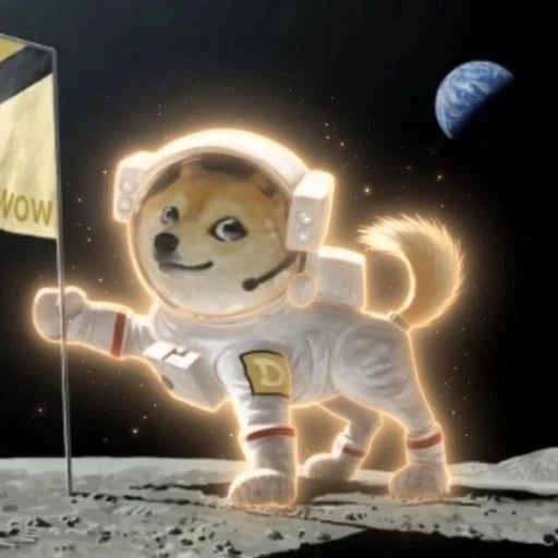 MoonDoge