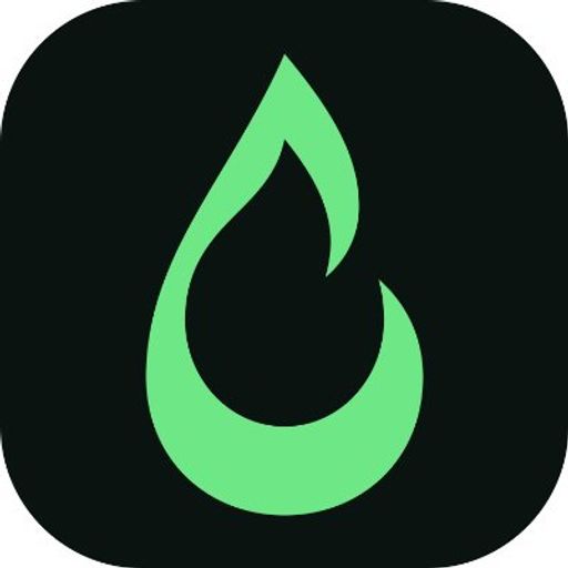TORCH