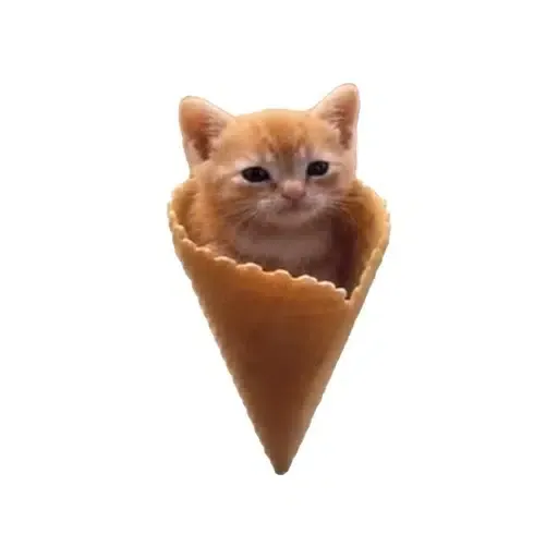 CONECAT