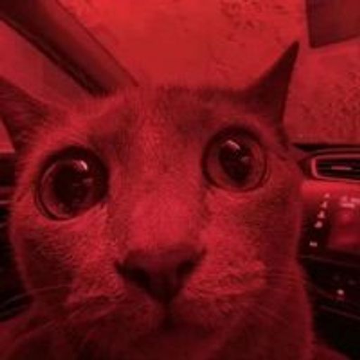 RED CAT