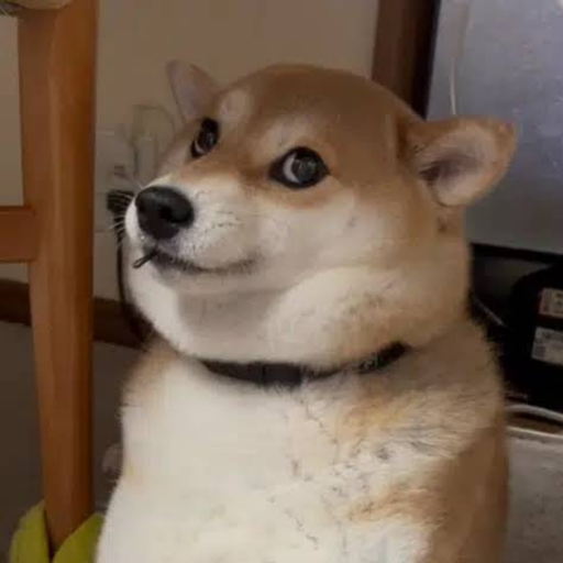 YUKI