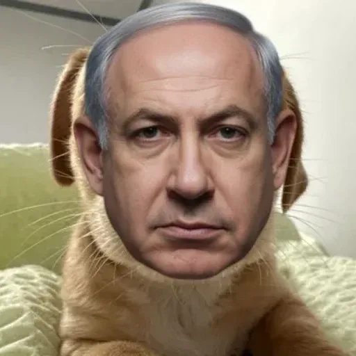 BiBi