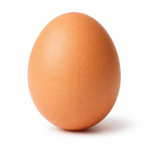EGG