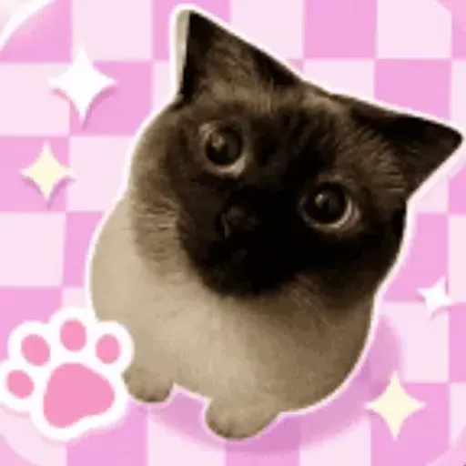 Meowl