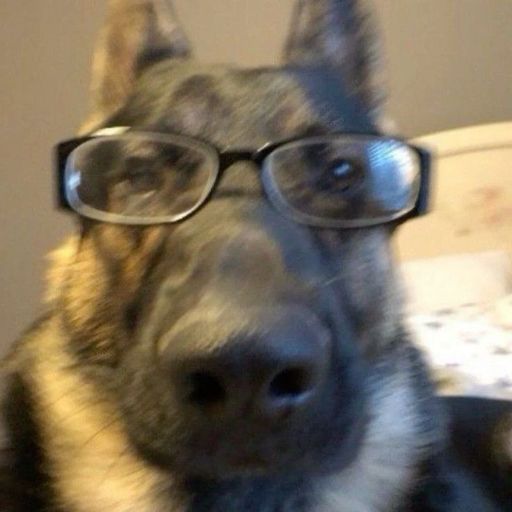 DOGSENSEI
