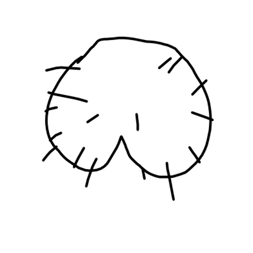 BALLS
