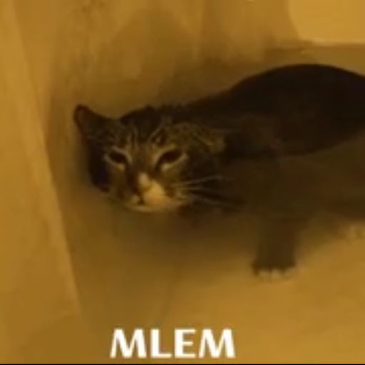 MLEM