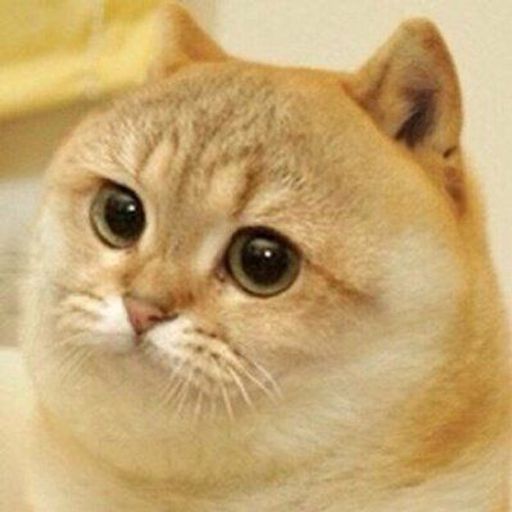 CATE