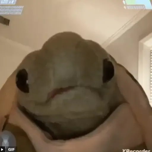 Turty