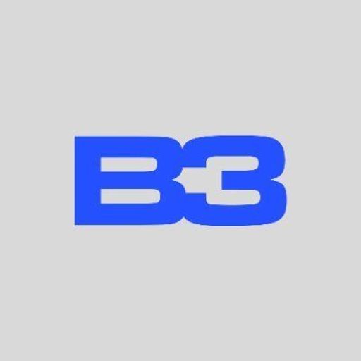 B3