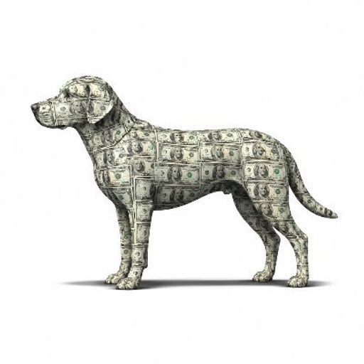 CASHDOG