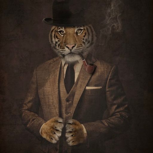 PIPETIGER