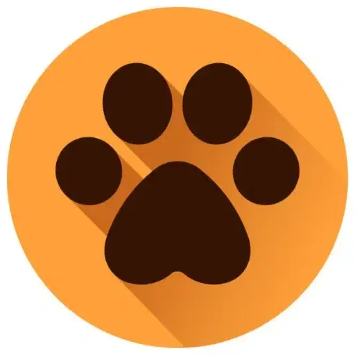 Catcoin