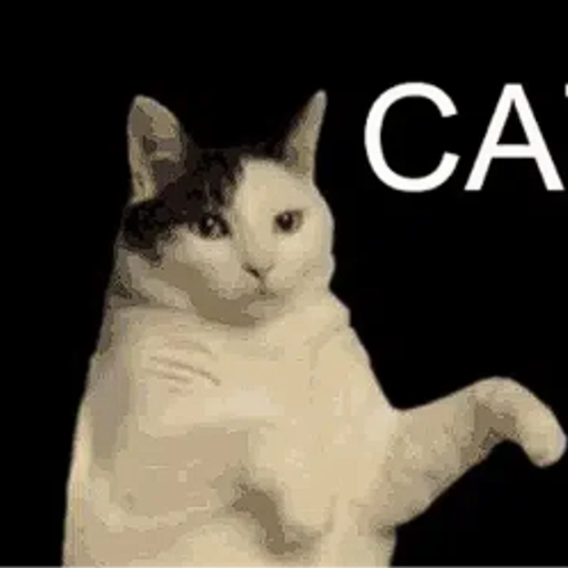 KITTY