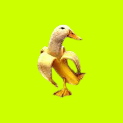 DUCKNANA