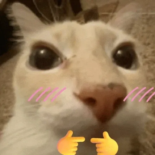 ChiChi