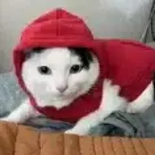 ROB
