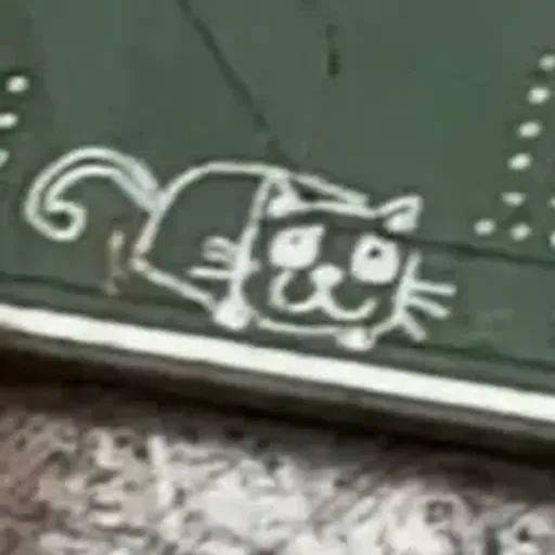 elon Cybercat 
