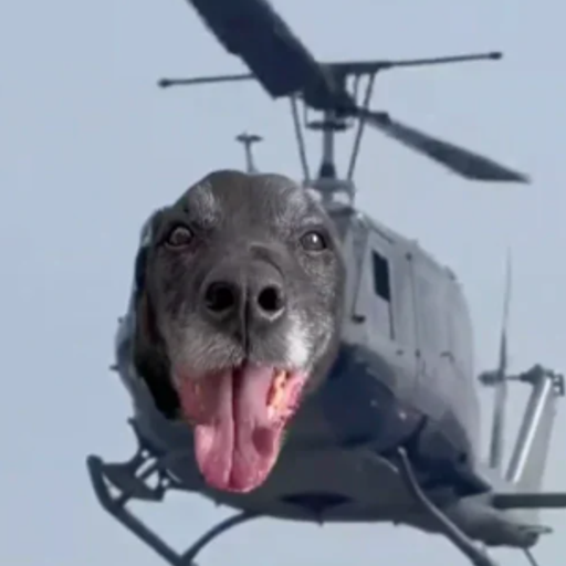 dogcopter