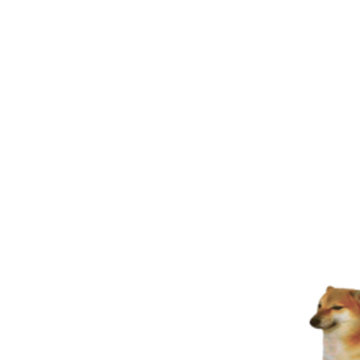 SHYDOG