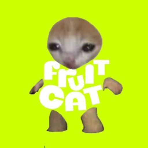FRUIX