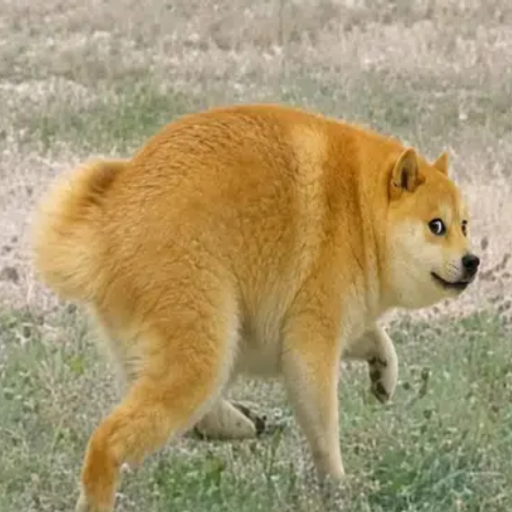 DOGETHY