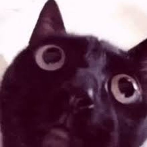 CRASHCAT