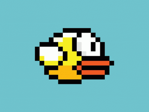 FLYBIRD