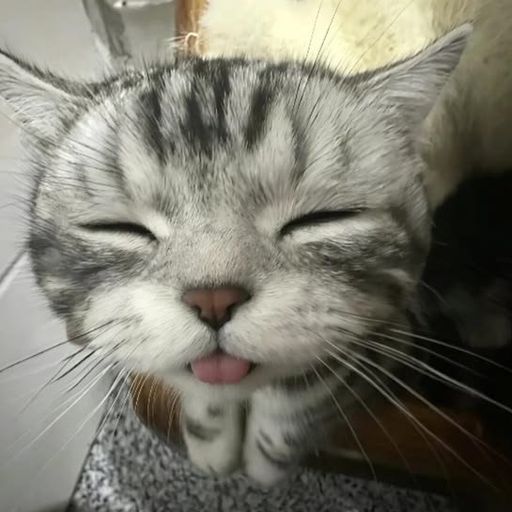 BLEH