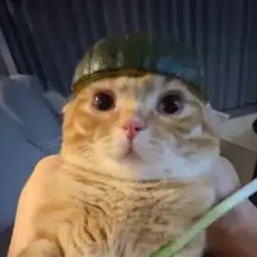 MELON