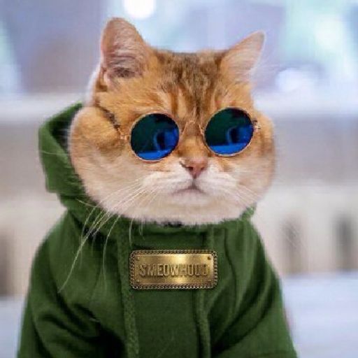 MEOWHOOD