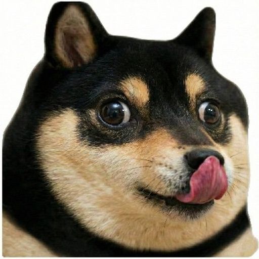 DOGEMON