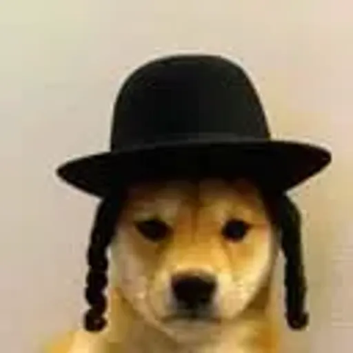jewdog