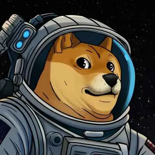 DOGE1