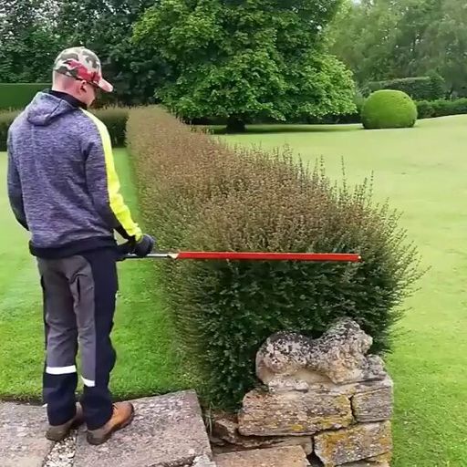 HEDGE