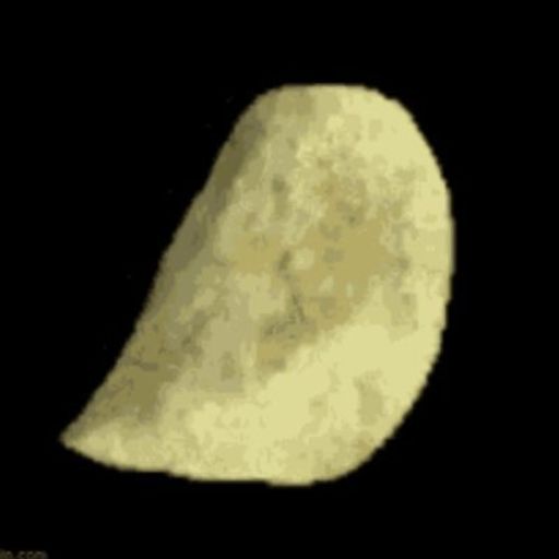 POTATOI