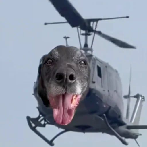 dogcopter