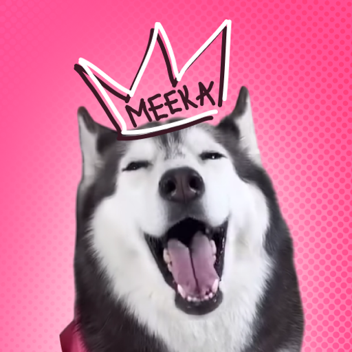 seamdoge