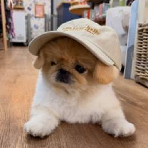 Peanut
