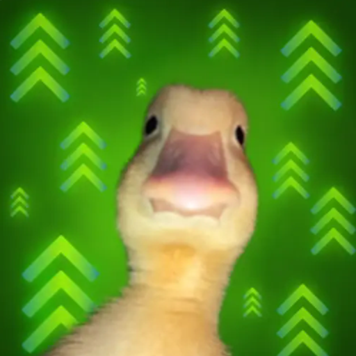 DIP