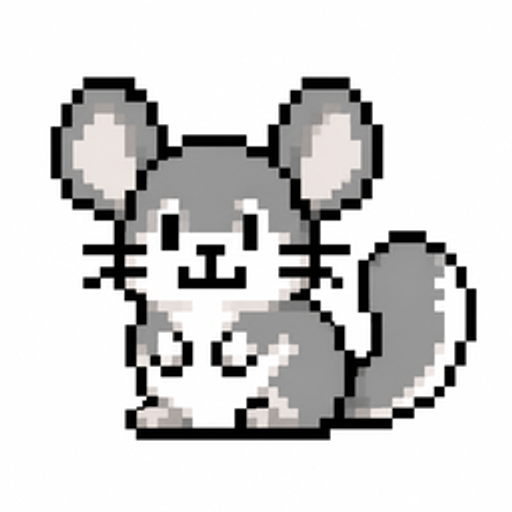 chinchilla